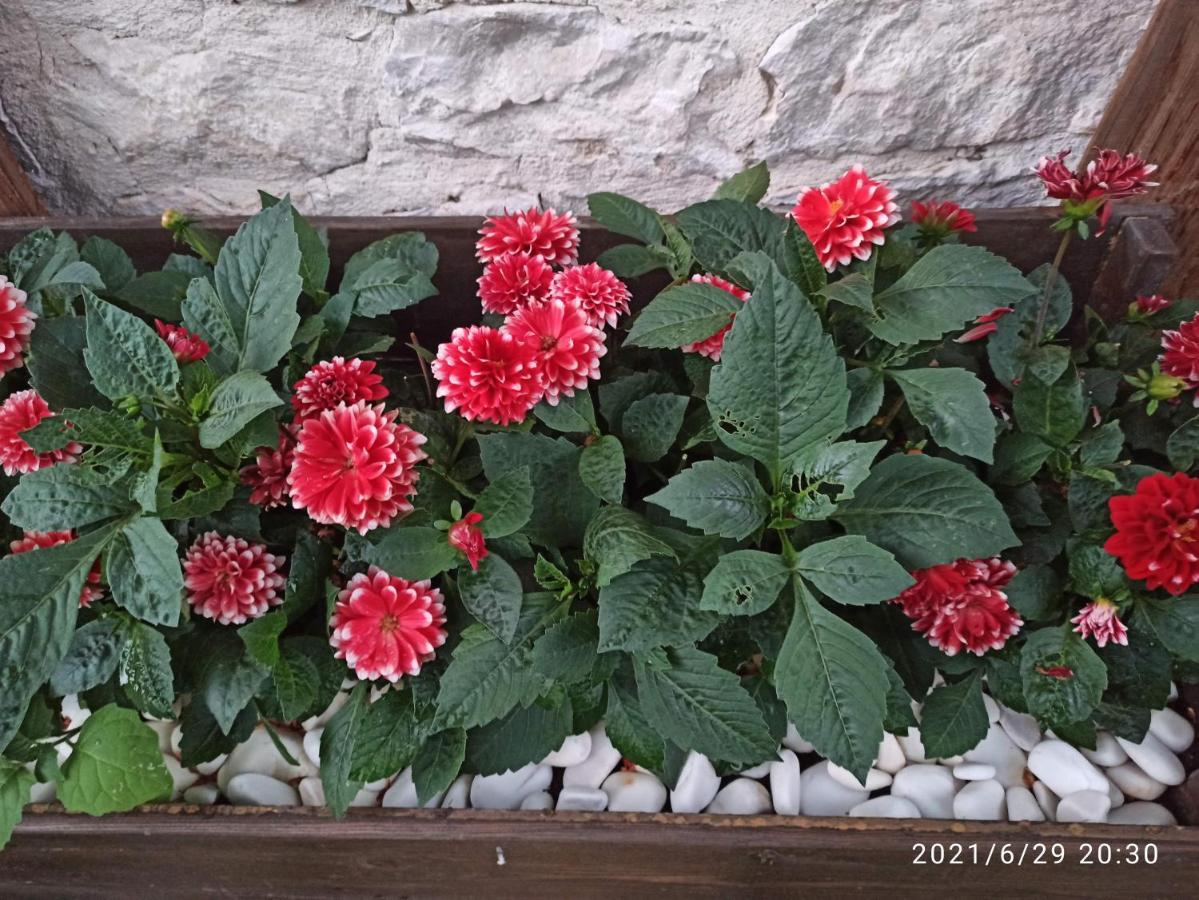 Bed and Breakfast Konak Bindalli Karabuk  Екстер'єр фото