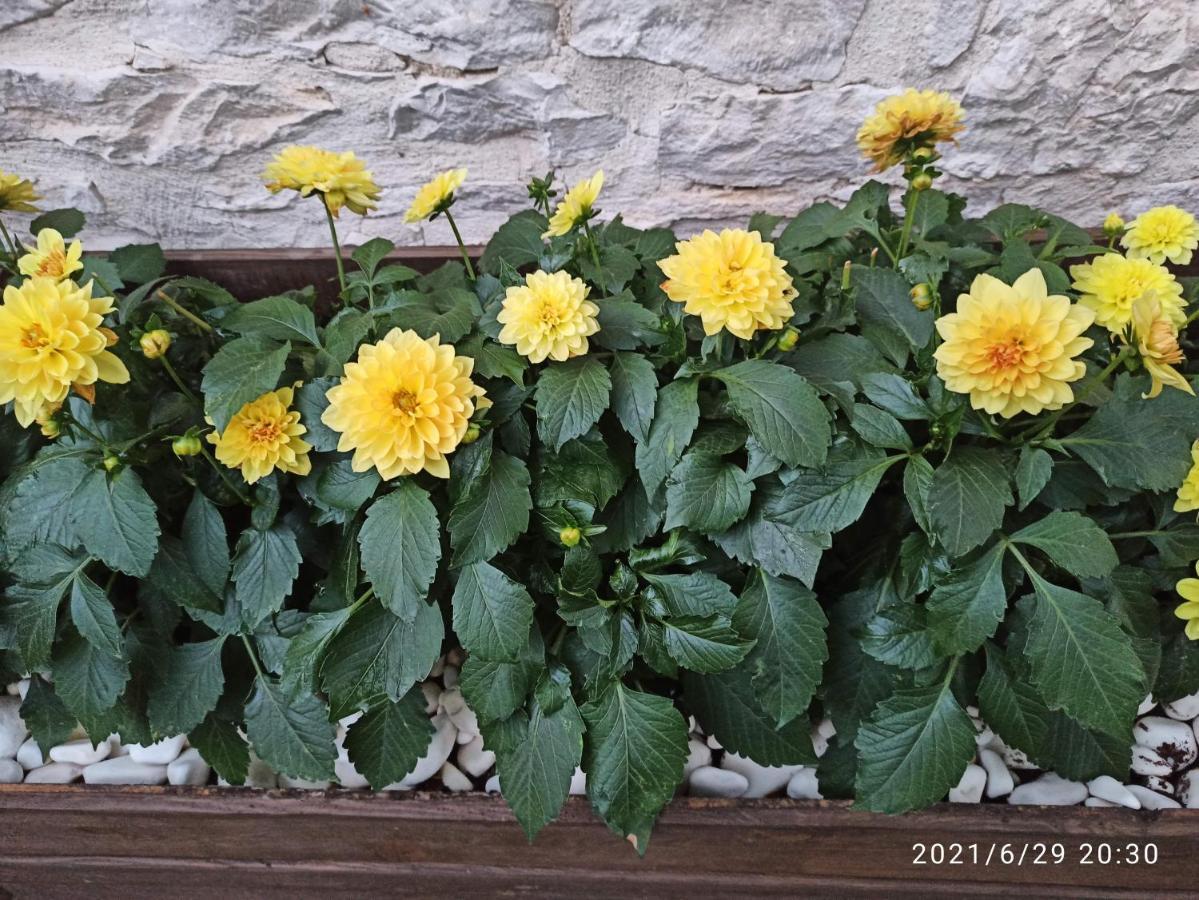 Bed and Breakfast Konak Bindalli Karabuk  Екстер'єр фото